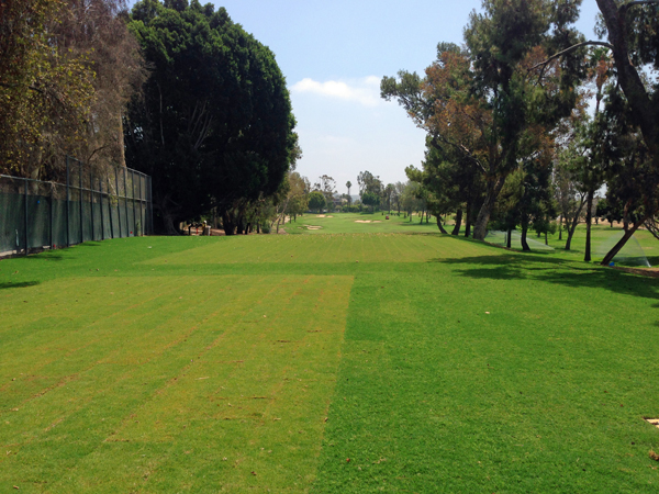 Birch Hills Golf Course Hole #6 (July 2014)